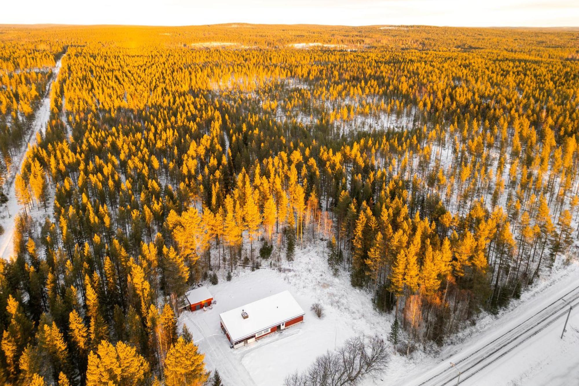 Lapland Homestead - Authentic Finnish Hideaway * Rovaniemi